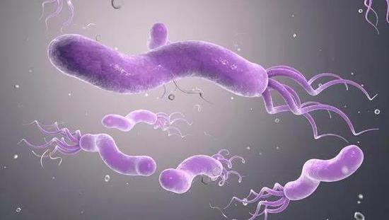 胃肠道b超可以检查出什么,4岁小孩子胃肠道检查查什么