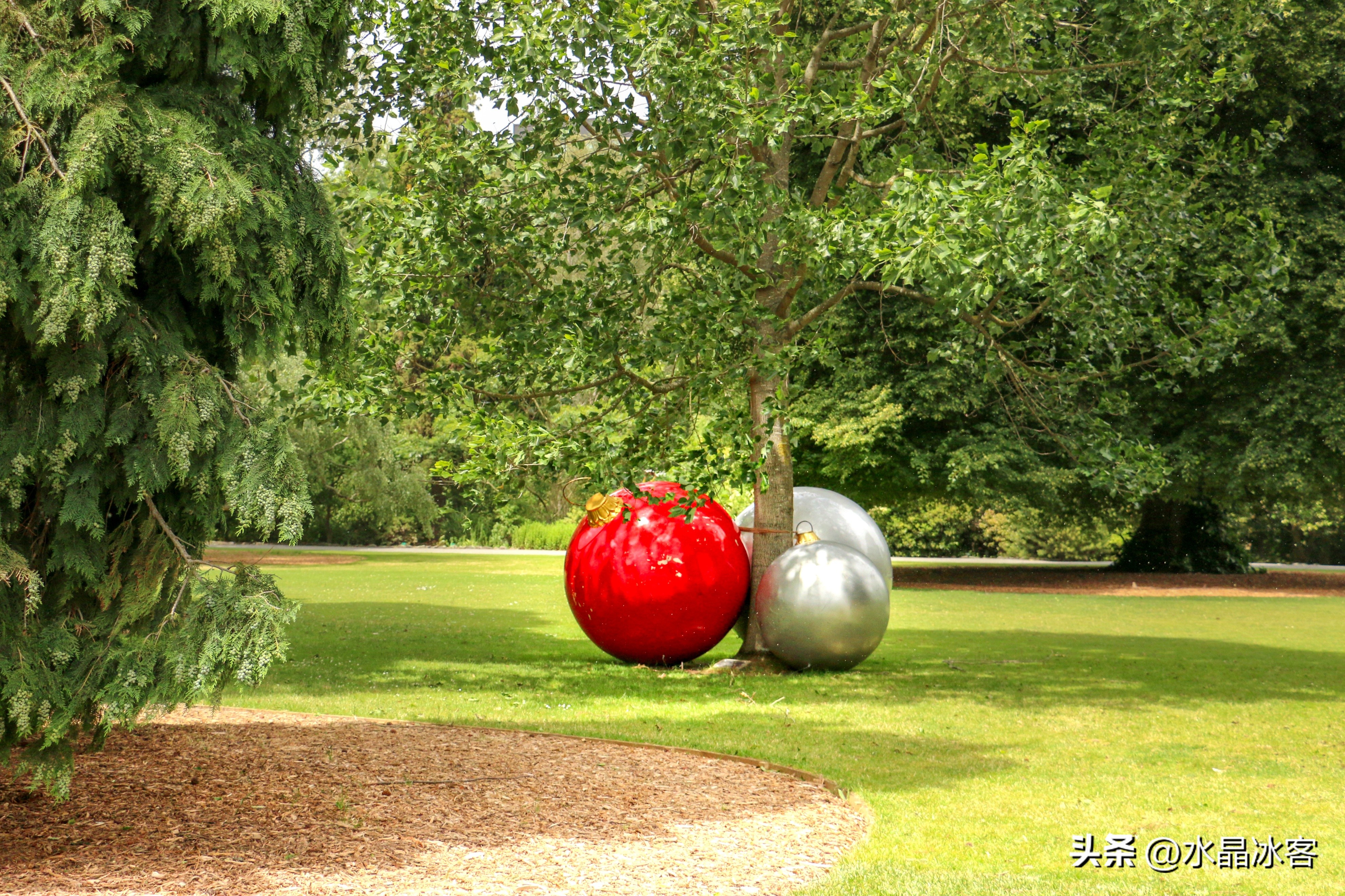 南岛新西兰之旅,新西兰之南岛