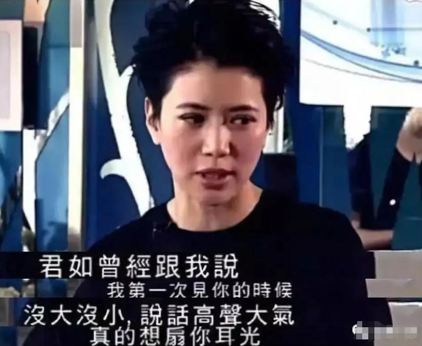 最美香港女星袁咏仪,最美港姐袁咏仪