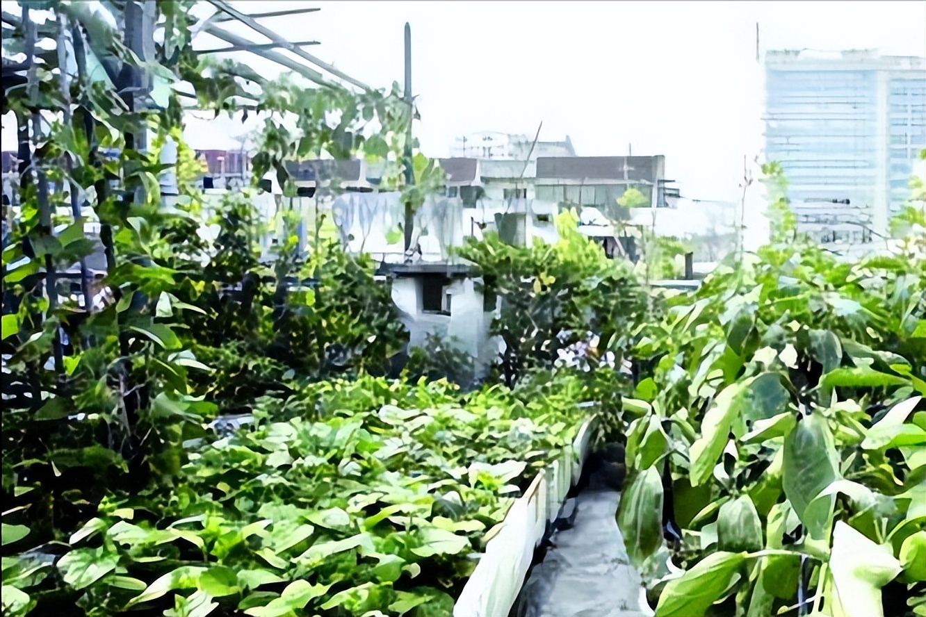 微咸水开发利用情况汇报,反渗透水处理数据分析