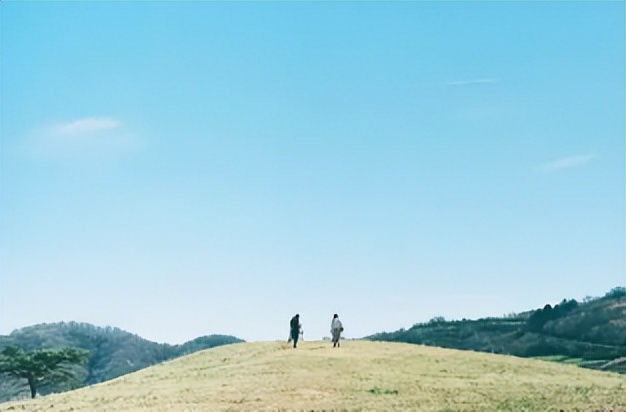5组网红大V撕破脸，兄弟闺蜜反目成仇，员工组团跑路