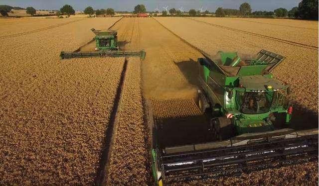 俄罗斯小麦有哪些品种,俄罗斯小麦为什么比欧洲小麦便宜