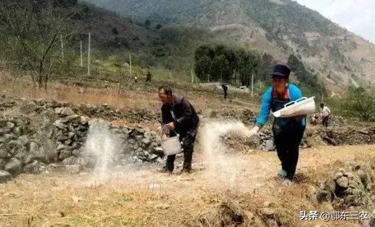 农村居家怎么用雄黄防蛇,夏季防蛇用这5种方法