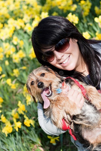 狗好养吗,狗好养还是男孩好养