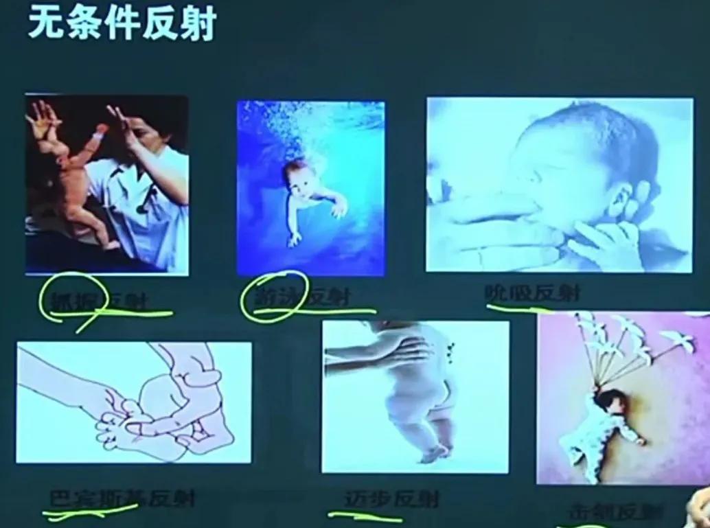 心理学基础第1章第2章笔记,心理学与教育心理学概述总结