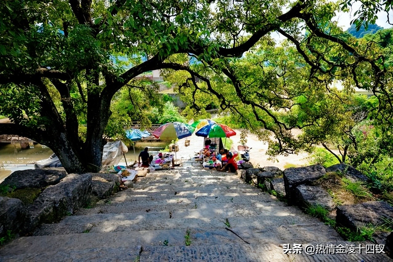 桂林遇龙河一日游最佳攻略,遇龙河竹筏3人漂流攻略