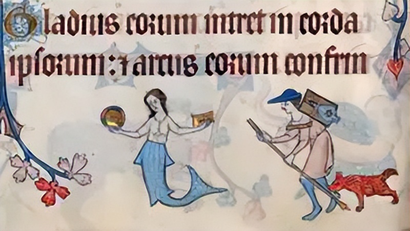 人鱼是怎样变成美人鱼的,丑人鱼变美长什么样子