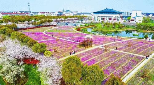 平湖市在嘉兴的排名第几位,嘉兴平湖富豪排行榜