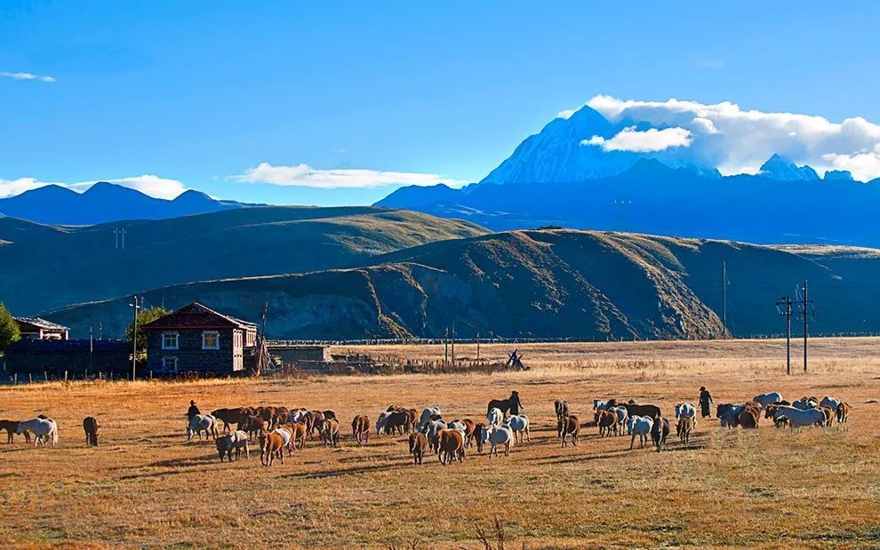 阿里大北线穿越之旅西藏,阿里大北线自驾游攻略