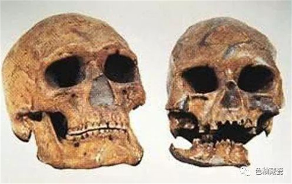 百年前日本侵略我们的国家,被日本抢走的国宝排名