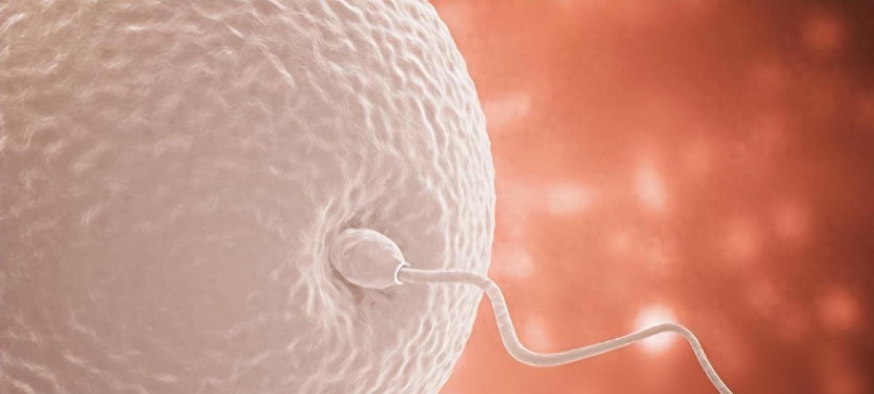 穿越时空的勇士,穿越时空的小战士