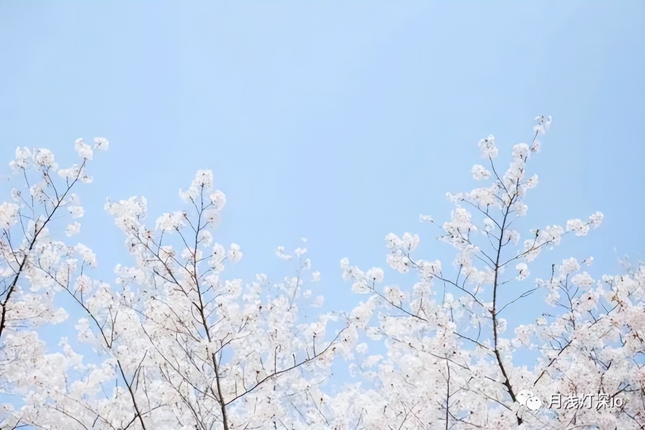 手机测光模式和测光技巧,测光模式和测光技巧