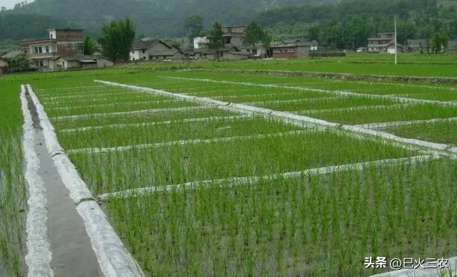 农村耕地回收政策,国家回收耕地多少钱