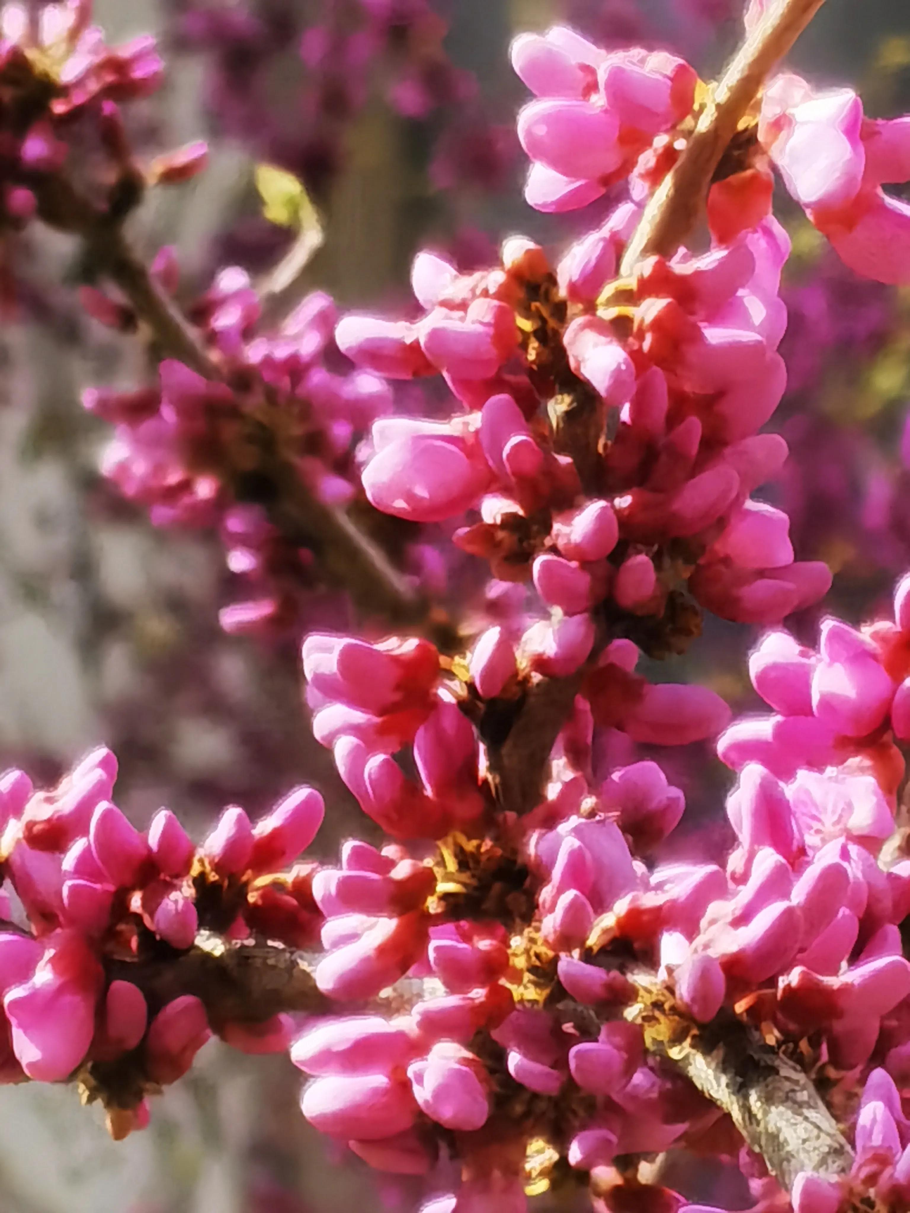 善良有尺忍让有度谁说的,善良有尺忍让有度人生感悟