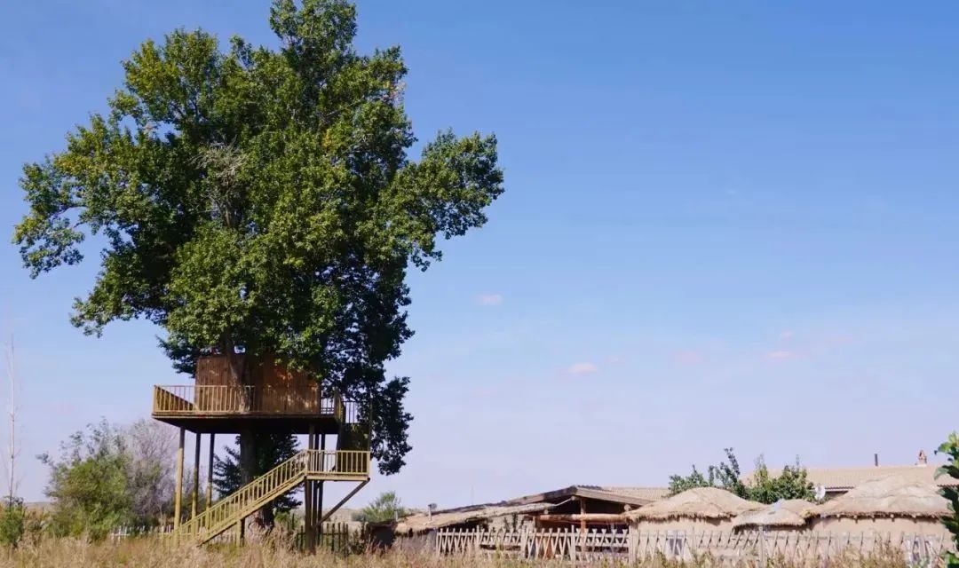 在新疆四五天时间怎么玩,在新疆疆内旅游