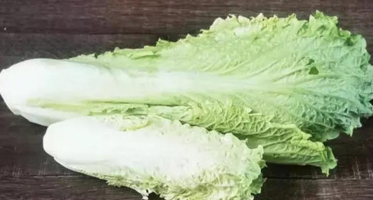 卷心白菜的栽培技术,龙牙白菜与大白菜区别