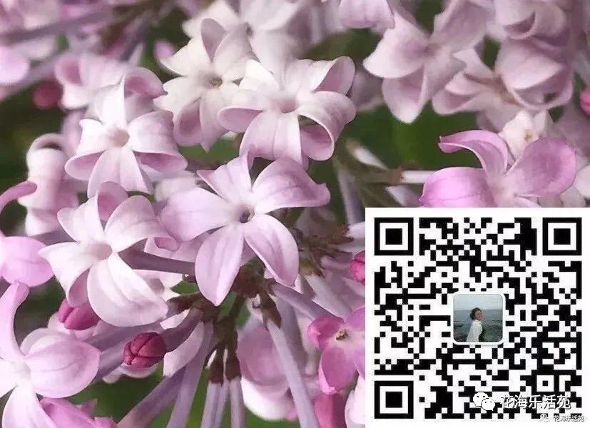 看足球赛日记200字,看世界杯足球比赛作文