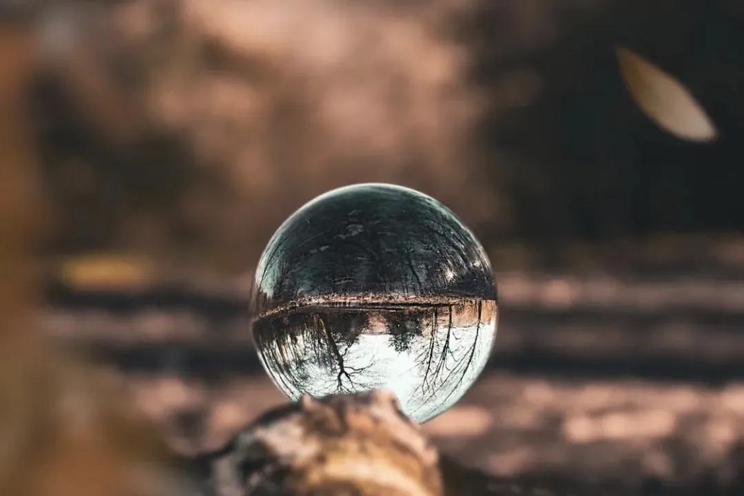 描写秋天的诗句大全100句,欣赏秋天的诗句大全