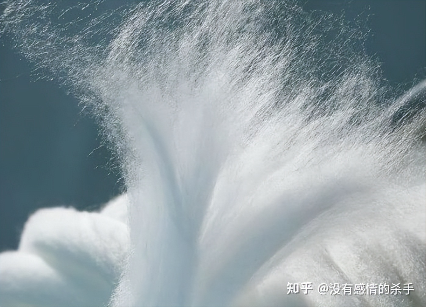 天丝莫代尔和莱赛尔纤维的区别,莱赛尔纤维天丝是什么材质