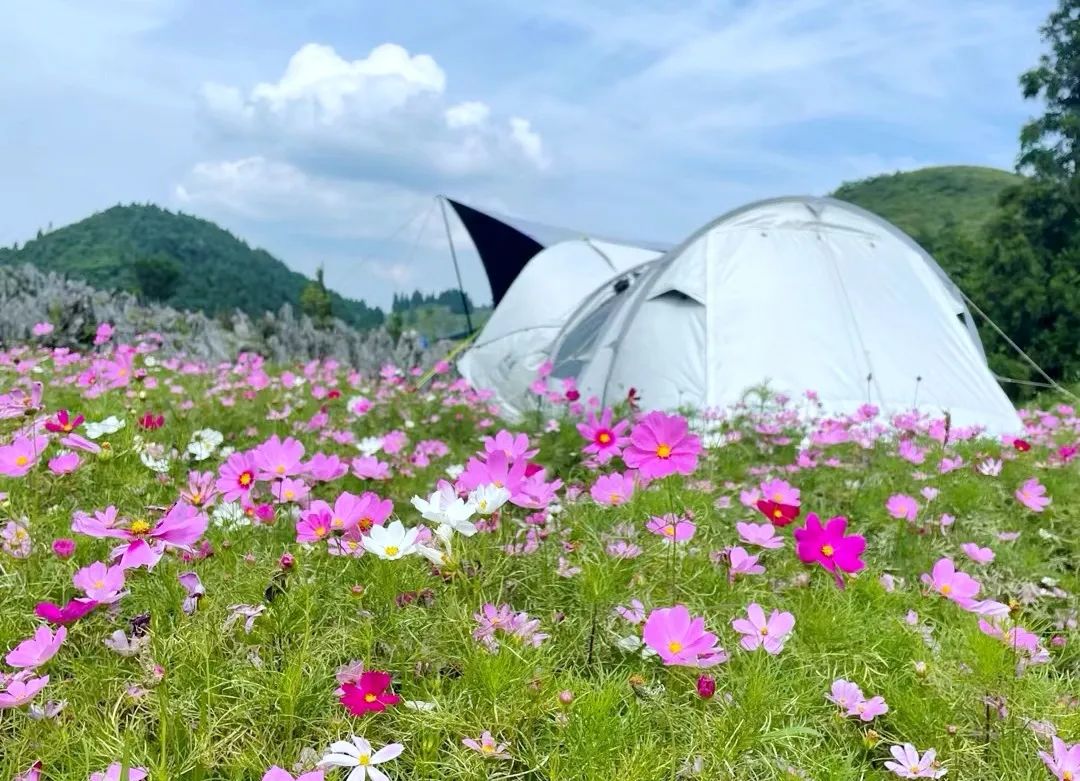 利川黄水镇,石柱黄水是个避暑的好地方