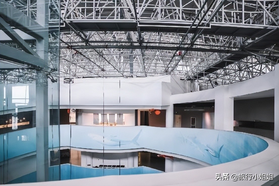 夏日海边浪漫迷人,滨城风光秀丽浪漫气息爆表