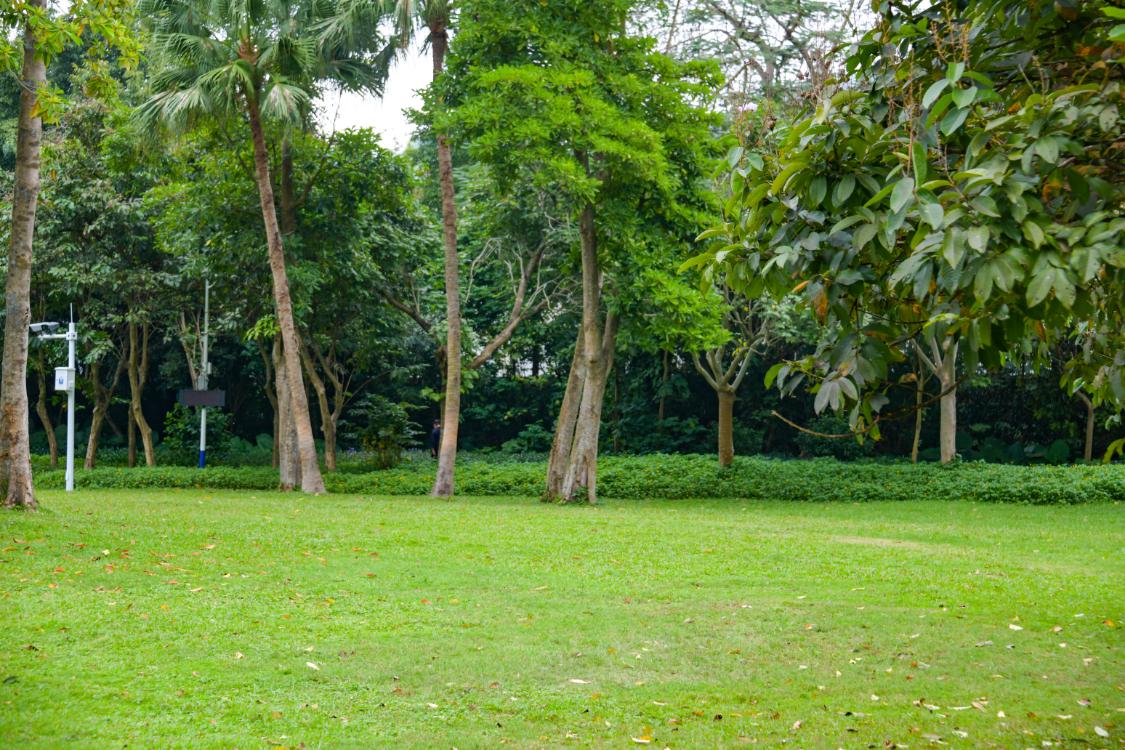 深圳东湖公园冬天游玩攻略,东湖公园打卡景点