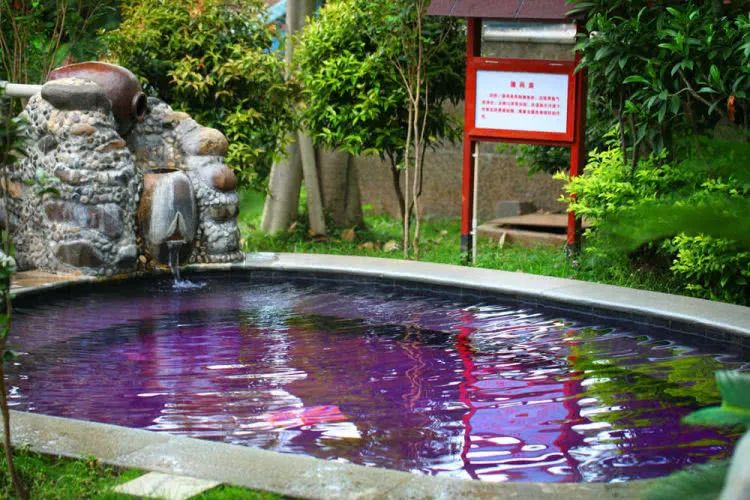 厦漳泉一日游最佳路线,厦漳泉5天自驾游攻略