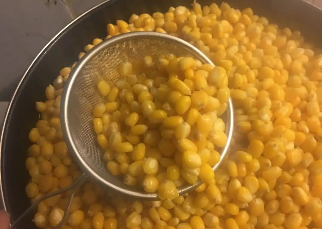 现在野钓鲤鱼用什么饵最好,野钓鲤鱼用什么饵好钓现在