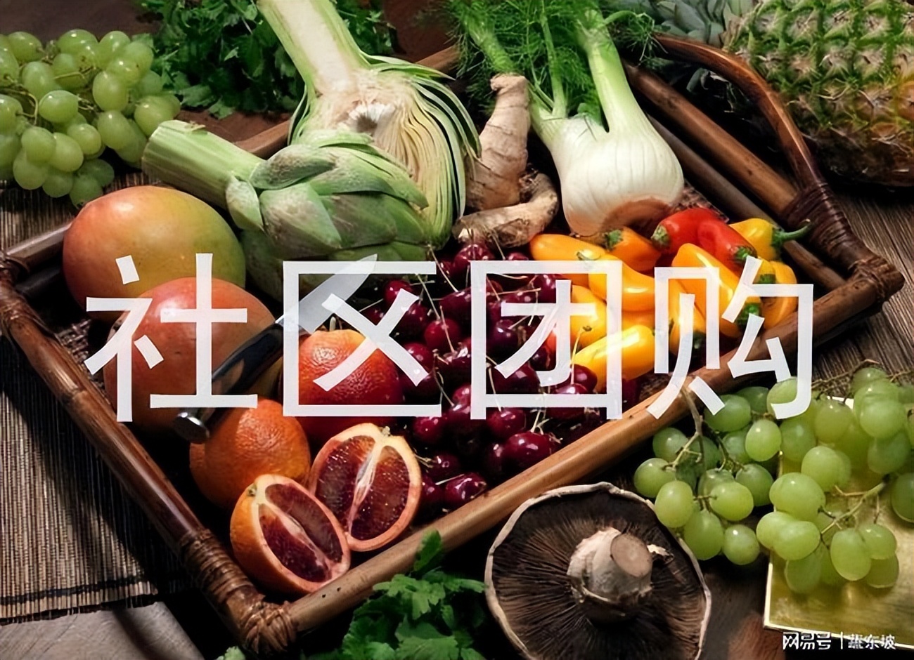 如何快速建立社区团购群,社区团购供应链公司运营模式