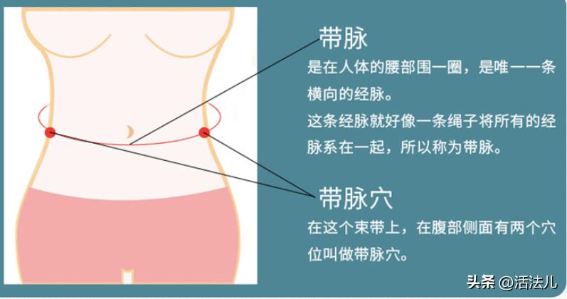 三伏天该注意什么,三伏天减掉肚子赘肉的方法