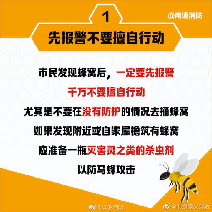 遇到马蜂袭击的视频,被马蜂袭击最快的时间