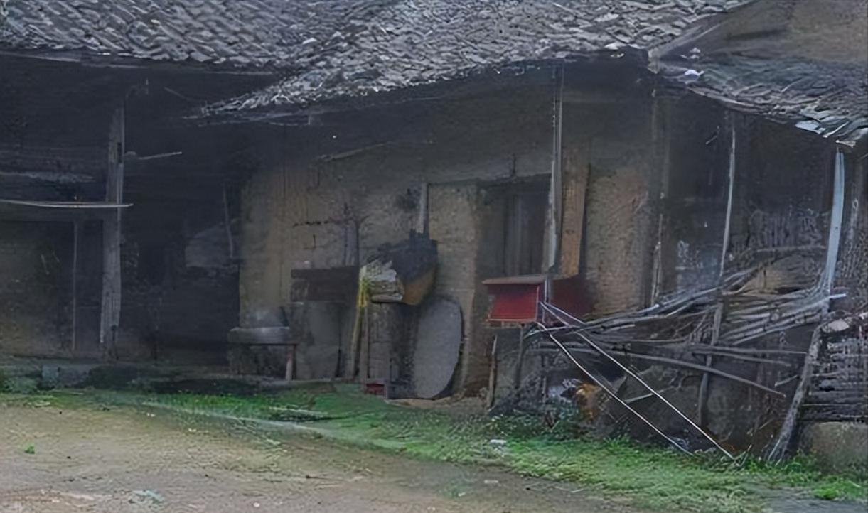 吃一份炸生蚝竟找到生父,炸生蚝找到生父