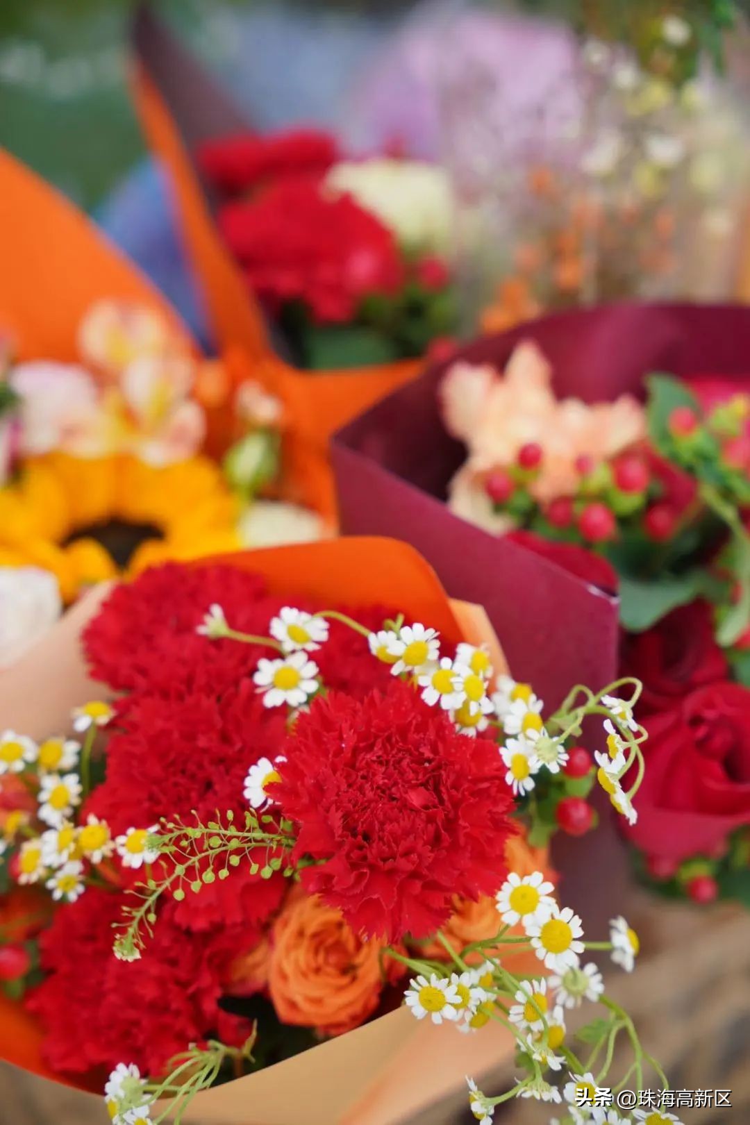 迎春花市亮灯仪式,珠海高新区迎春花市时间表