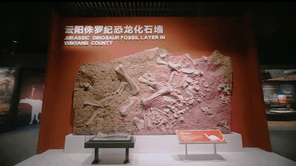 重庆自然资源科普馆有讲解吗,重庆自然资源科普馆一共几个馆