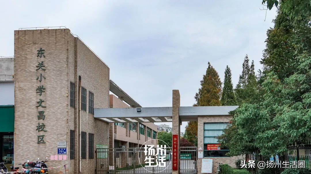 东区内卷之王，观潮路