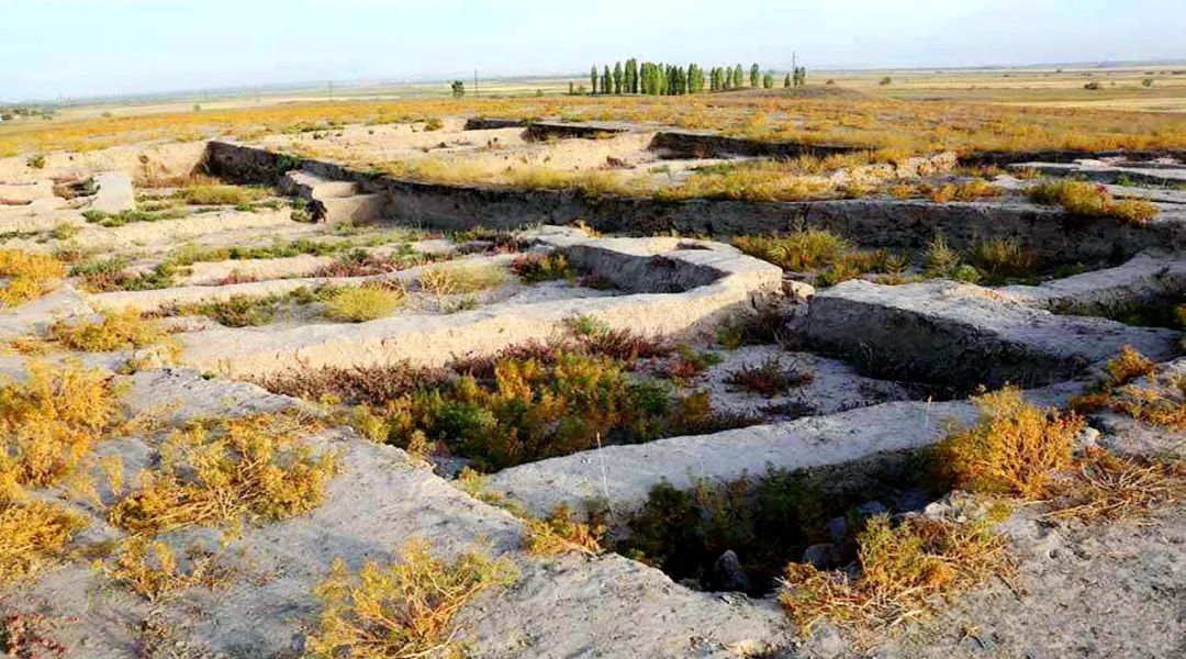 一文读懂匈奴突厥契丹,一文了解巴勒斯坦历史