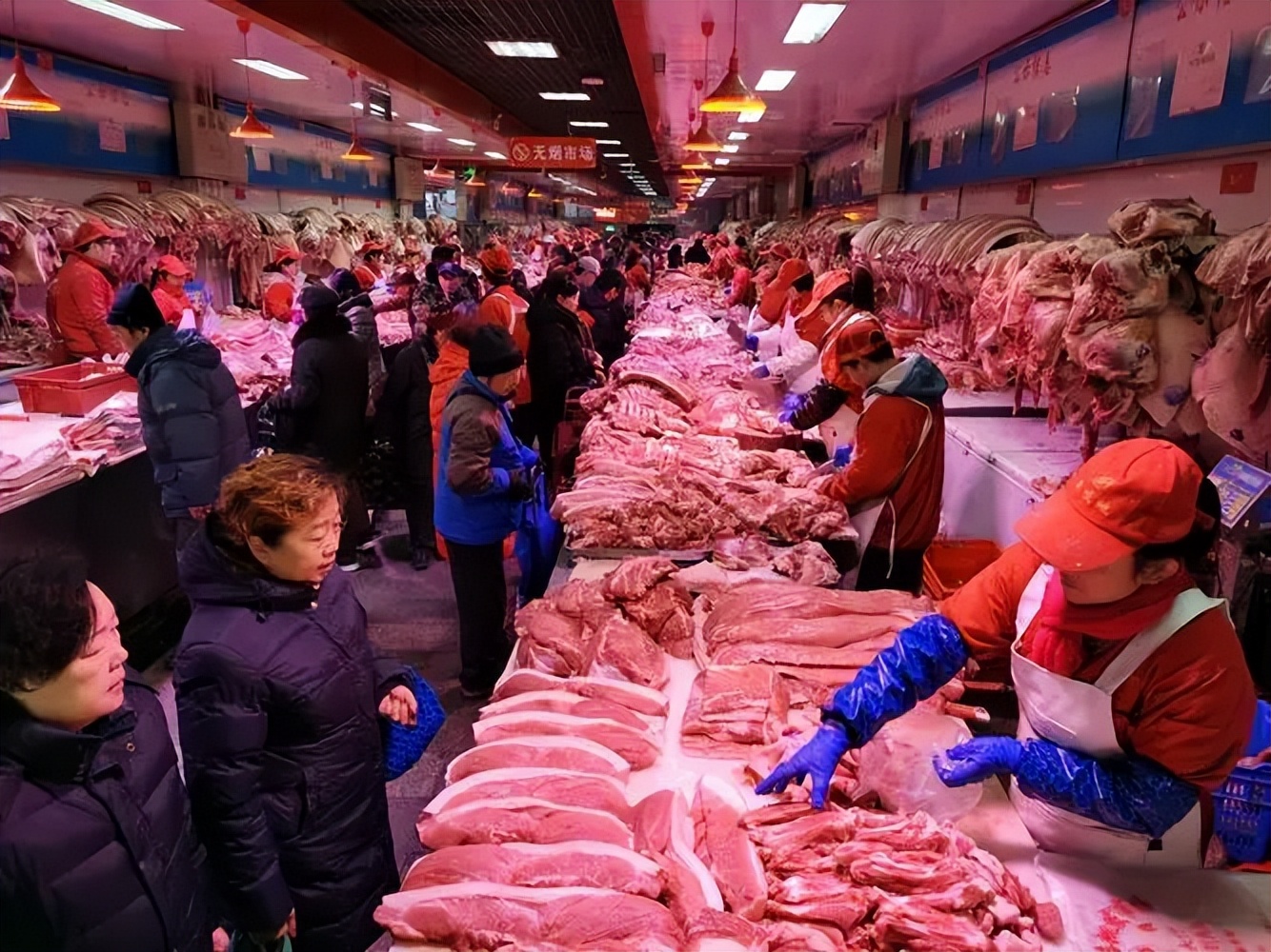 生态猪的养殖技术和方法,生态猪的养殖方法和销量