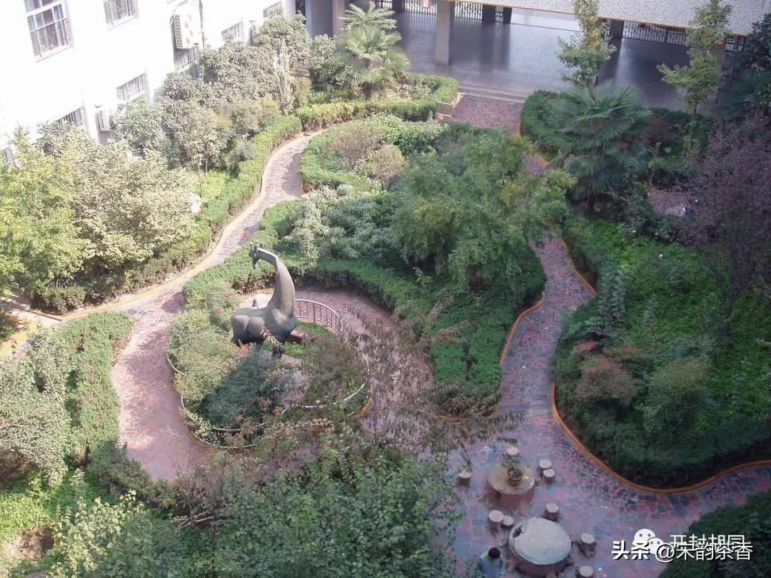 开封河南大学附属高级中学地址,开封市河大附属中学