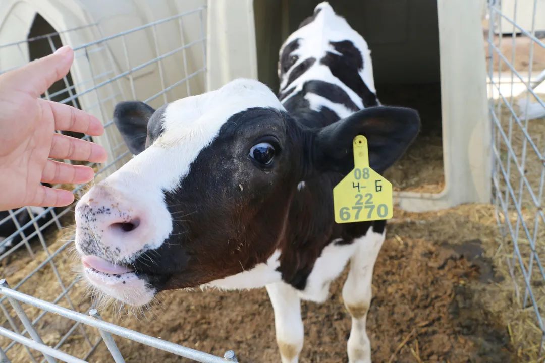 君乐宝威县乐源君享,君乐宝农场纪录片