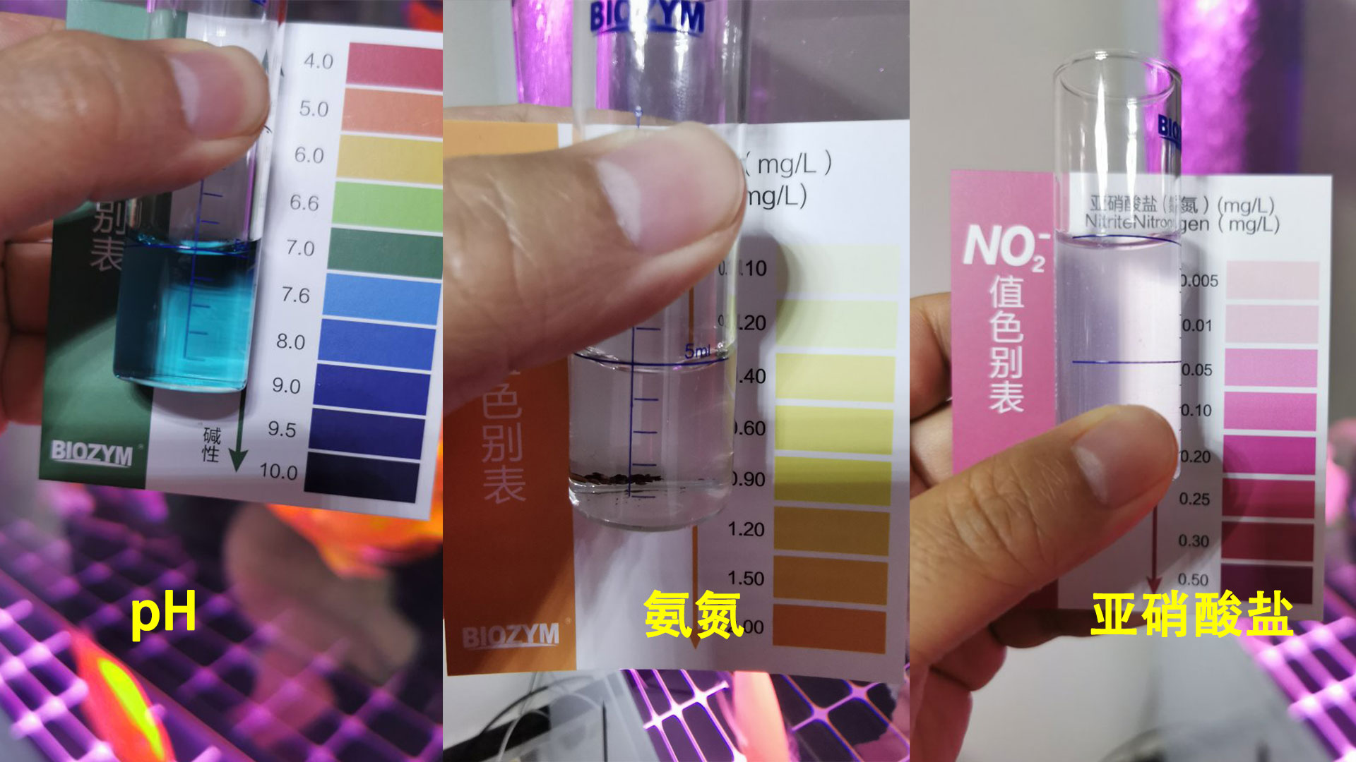 养鱼一定要开缸吗,新手养鱼开缸教程合集