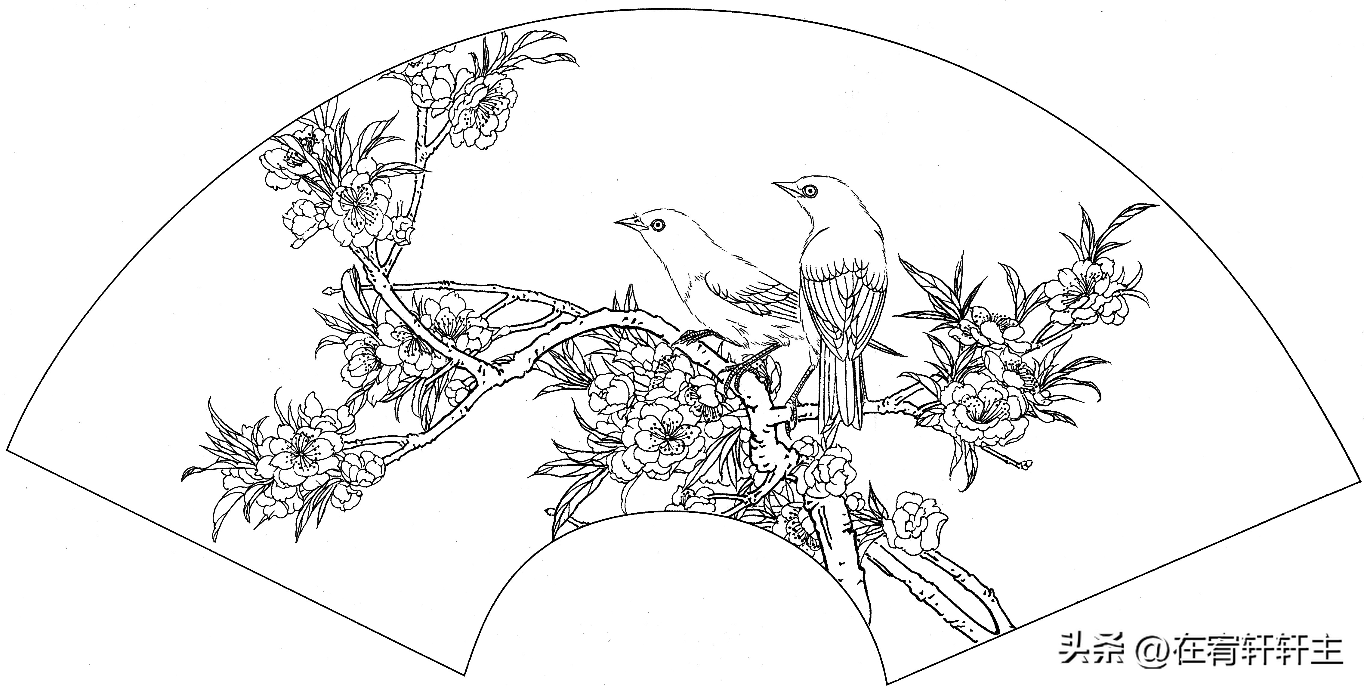 工笔白描祥云图案扇面,工笔扇面葡萄白描图片