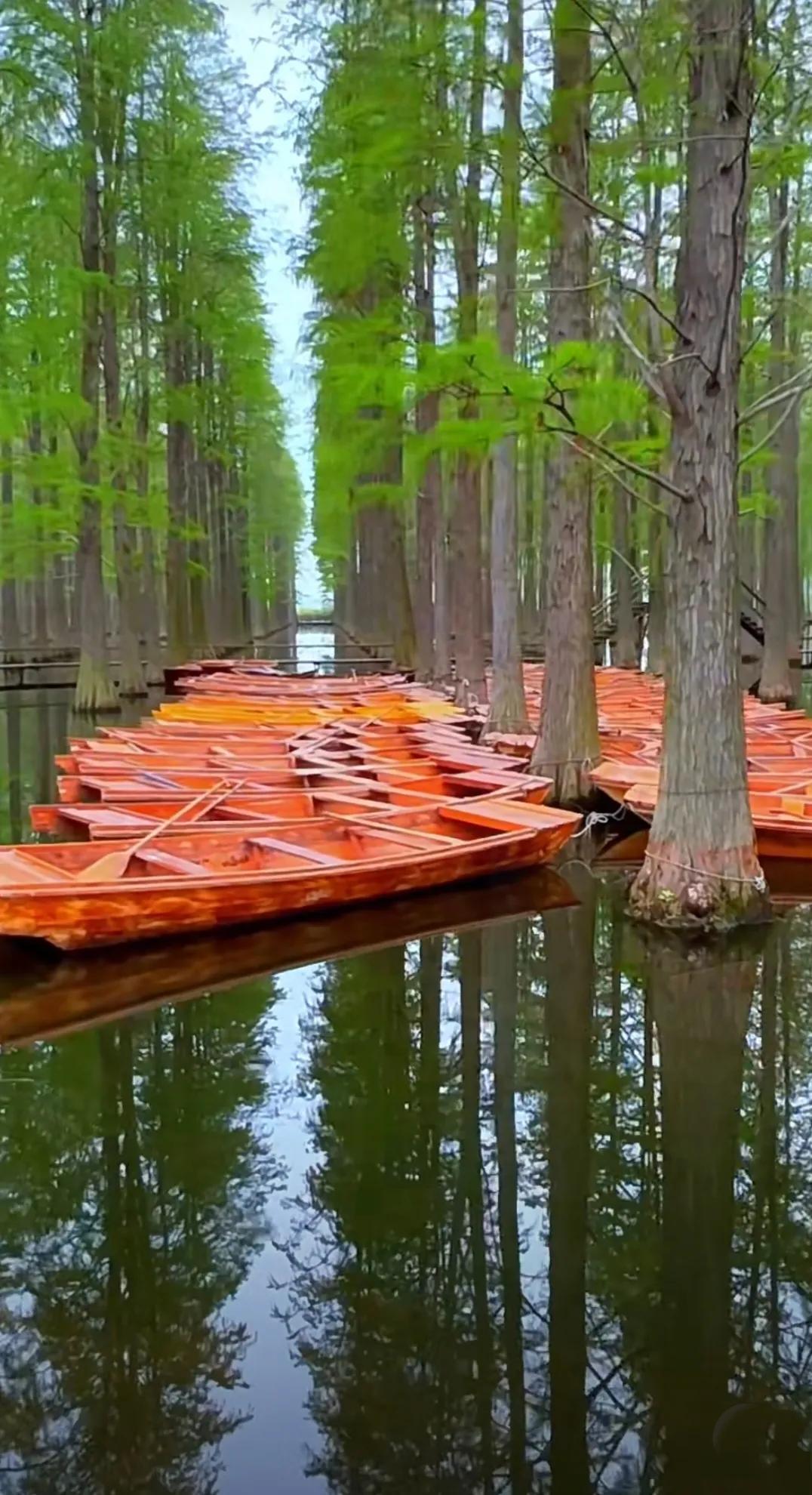 扬州渌洋湖湿地,江苏扬州渌洋湖湿地公园