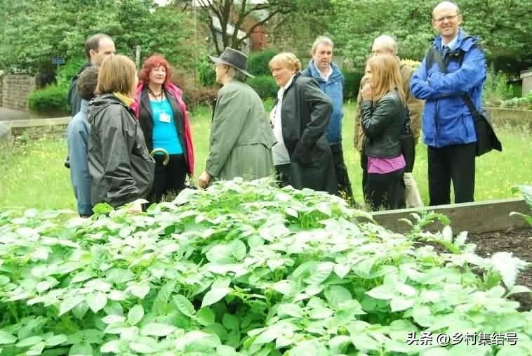 鎵樺痉鎽╃櫥,鑻卞浗鎵樺痉鎽╃櫥灏忛晣