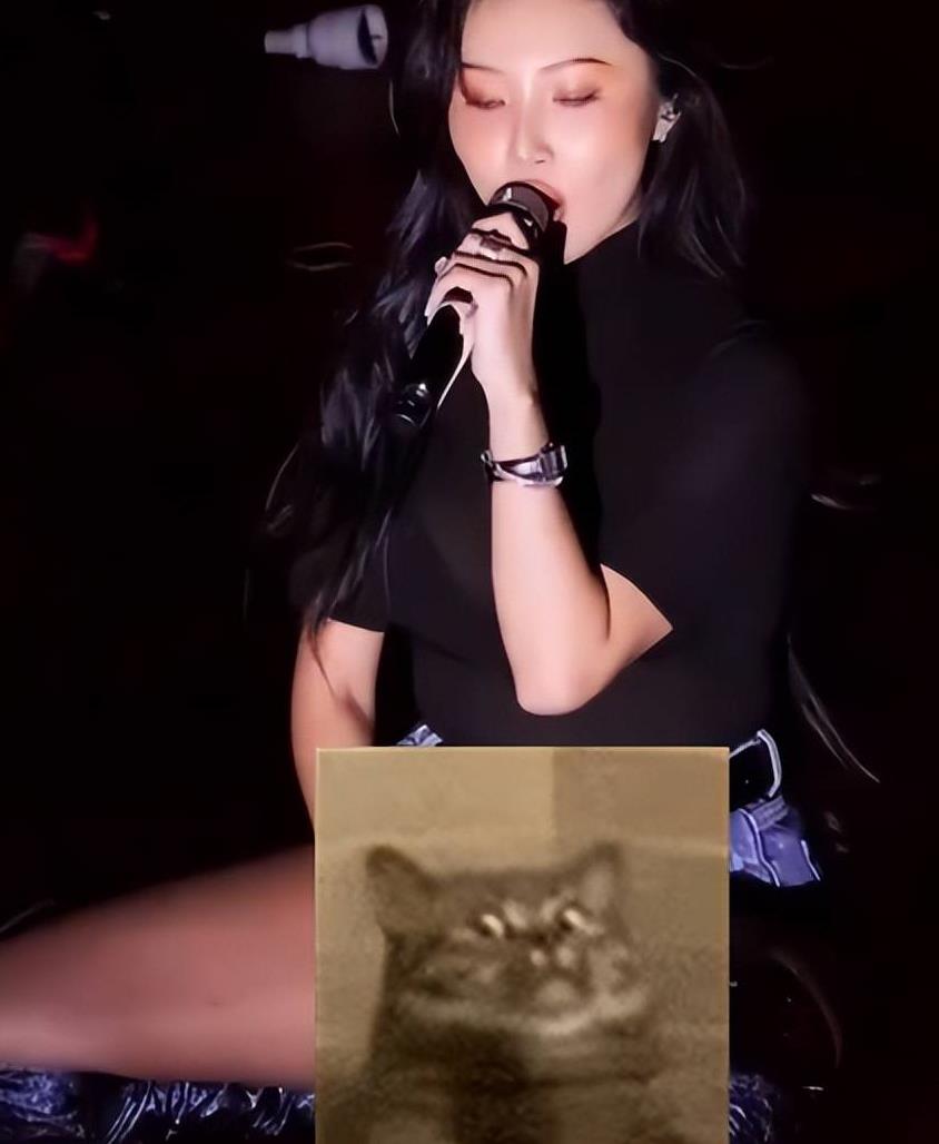 原创曝华莎演出淫乱罪被传唤，下蹲抚摸私密，恐判刑1年罚款500W