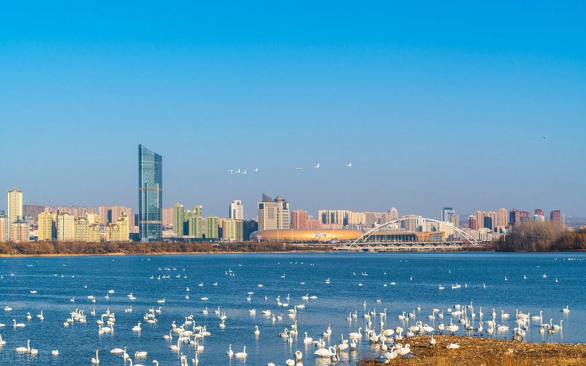 2020年河南进出口总值首次突破,河南进出口总额2019