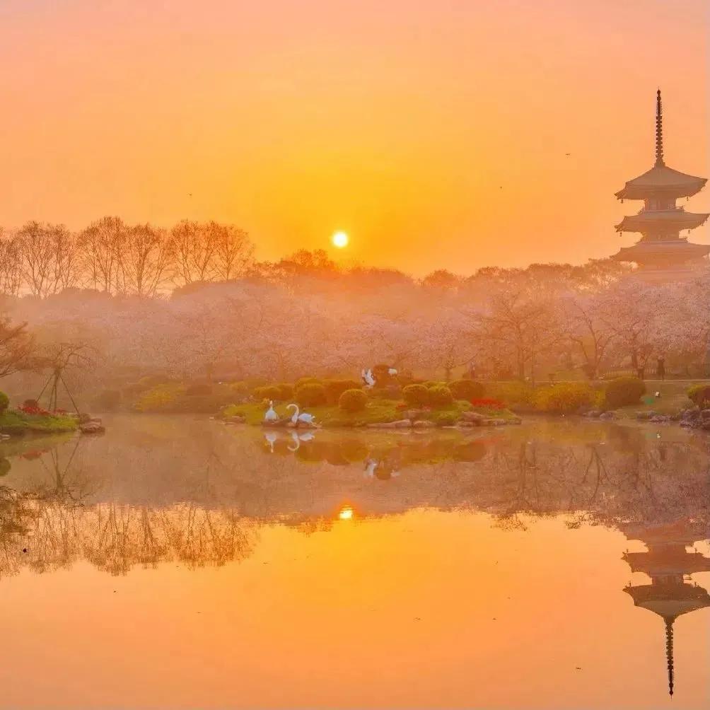 能记很久的短句文案,经典绝伦的短句文案