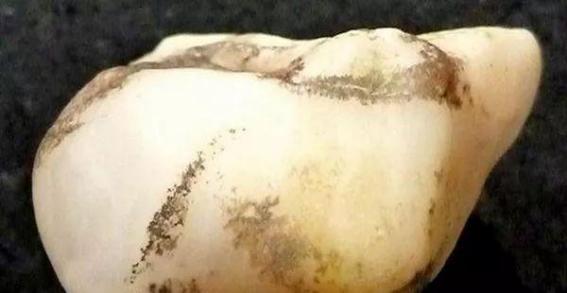 *疆新**10个捡石头腹地曝光！有一种致富方式叫去*疆新**捡石头！