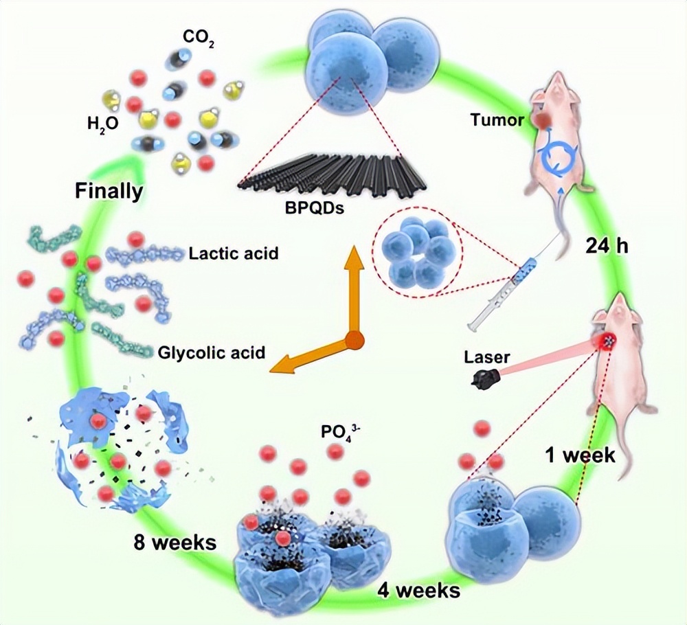 一个玻璃瓶在土底下几年才会消失,玻璃瓶在自然中多久消失
