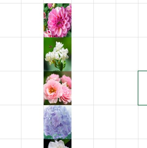 excel如何批量调整图片大小,Excel如何批量修改图片大小