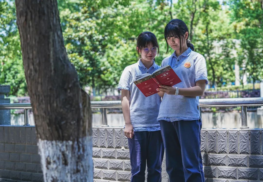 南京比较强的高中,南京厉害的高中
